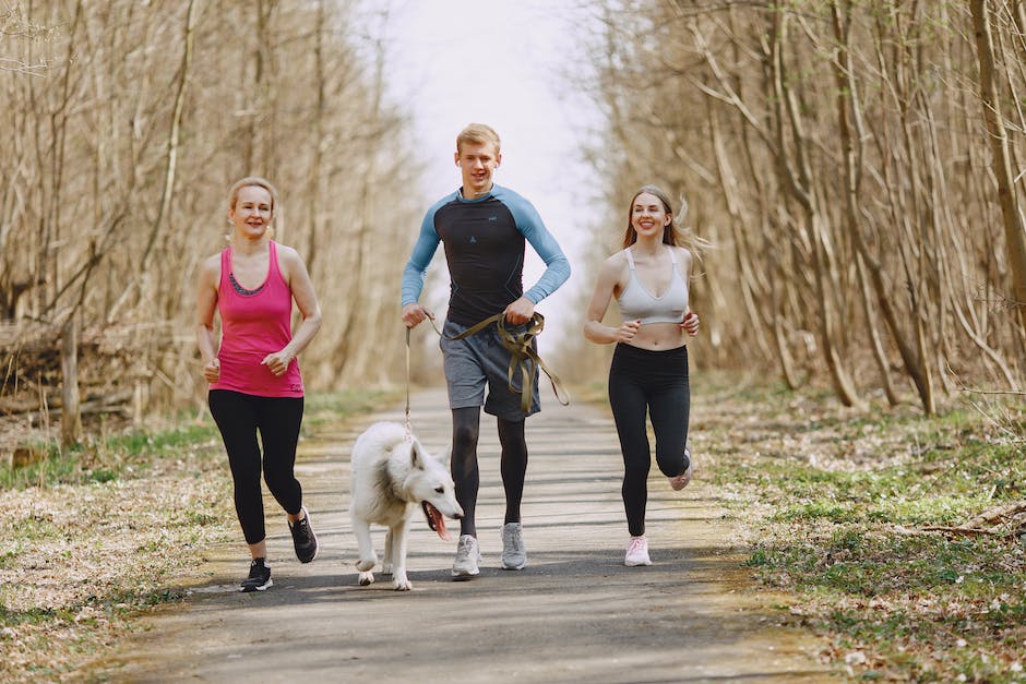 Ontdek de voordelen van ochtendruns voor je gezondheid